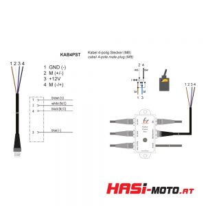 Kabel 4-polig Stecker (M8)